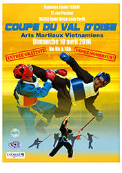 2016 - Coupe du Val d'Oise - Arts Martiaux Vietnamiens AMVT 2016