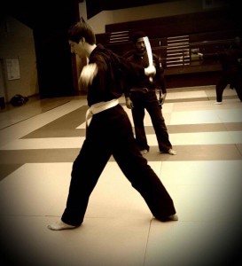 Vietvodao-Stage-Quyen-Epee-Fevrier-2017_03