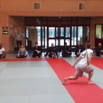 Vietvodao-Stage-Quyen-Epee-Fevrier-2017_04