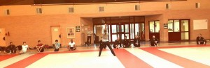 Vietvodao-Stage-Quyen-Epee-Fevrier-2017_06