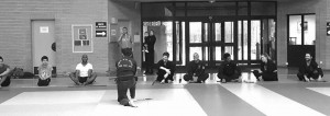 Vietvodao-Stage-Quyen-Epee-Fevrier-2017_07