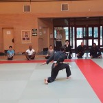 Vietvodao-Stage-Quyen-Epee-Fevrier-2017_26